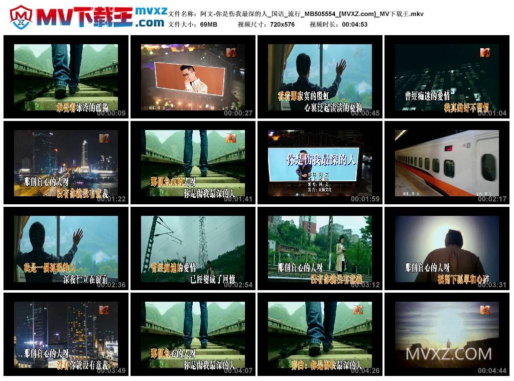 阿文-你是伤我最深的人_国语_流行_MB505554